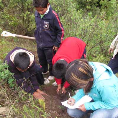 Conservación ambiental en campo